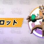 【ポケモンユナイト】オーロットは気合/クッキー/ゴルサポだけどゴツメありなのか？