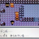 【議論】SVのポケモン食はライン超えてない？