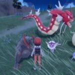 【疑問】色違いのポケモンのタマゴって色違いになったりしないの？？？