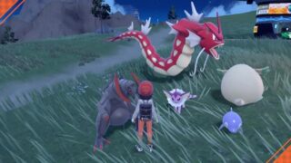 【疑問】色違いのポケモンのタマゴって色違いになったりしないの？？？