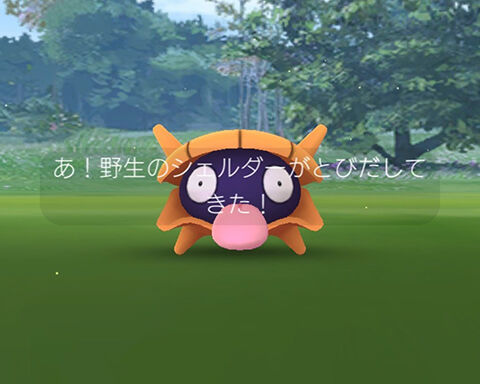 色違いも欲しいぞｗｗシェルダー スポットライトアワーの収穫ｗｗポケモンGO