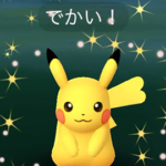 XXSとかXXLのポケモン捕まえたらどうしてる？ポケモンGO