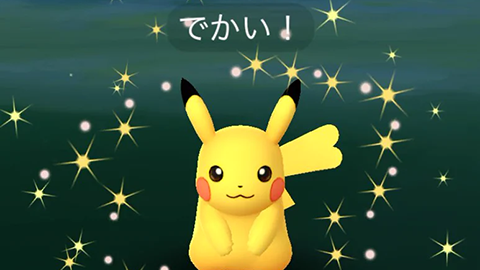 XXSとかXXLのポケモン捕まえたらどうしてる？ポケモンGO