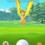 【ポケモンGO】Ｓファイヤー2人でいけそう？