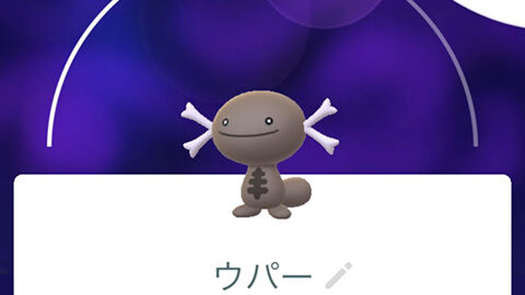 100％出た？パー／パルデアウパーのコミュニティデイ ポケモンGO