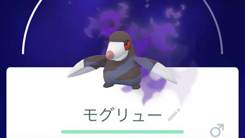 やっとモグリューの100％手に入ったｗｗロケット団 ポケモンGO