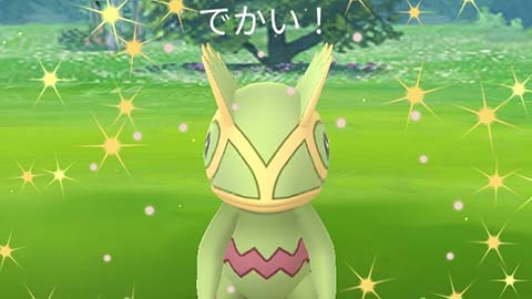 カクレオンのサプライズで楽勝だったｗｗウィンターイベント ポケモンGO