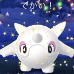 色違いも100％も出ないけどXXLポケモン大量に出たｗｗウィンターイベント ポケモンGO