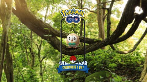 嘘でしょｗｗヒスイジュナイパーにはまだ進化できないのか？モクローのコミュニティデイ ポケモンGO