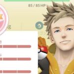 イベント関係ないけど100％来たｗｗはがねのバトル ポケモンGO