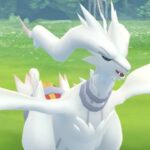 【ポケモンGO】レシラム2垢で勝てるんだな