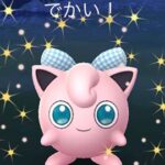 帰省中の田舎でお披露目やってみた結果ｗｗお正月イベント ポケモンGO