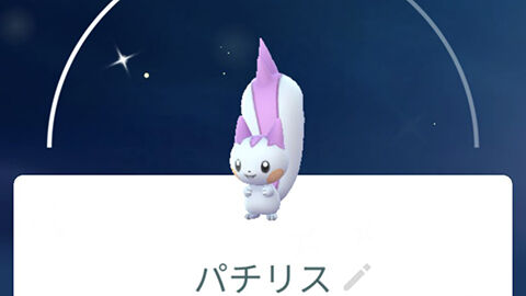 色違いパチリス辛すぎでｗｗポケモンGOツアー シンオウ グローバル