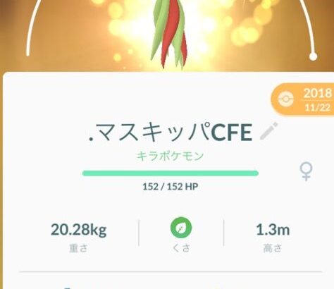 【ポケモンGO】異様な拘りがあるマン「キラポケモンは他人の手垢が付いているから嫌」