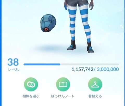 【ポケモンGO】「プレイヤーネーム」+生年月日 or papa/mamaを見かけた時