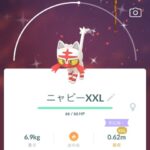 【ポケモンGO】「サイズXXL」が出る確率はどれくらい？ニャビーコミュデイ、何匹捕獲してその内XXLは何体だった？