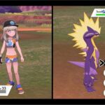 ポケモンの役割倫理は知ってても役割理論は聞いた事無いって奴増えてそう