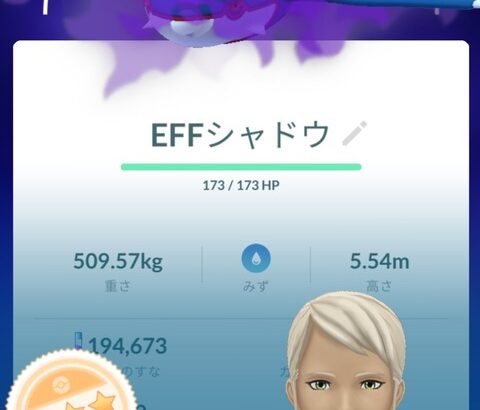 【ポケモンGO】スーパーRレーダーが余ってるけど「Sカイオーガ」「Sグラードン」2体取るならどっちが良い？