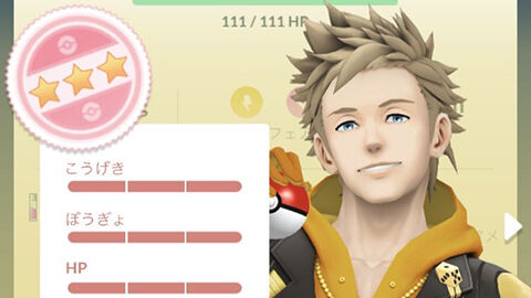 捕まえたら100％だったｗｗカプ・コケコの伝説レイド ポケモンGO