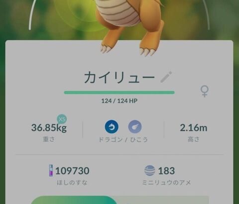 【ポケモンGO】「サイズ大小」「色違い」「衣装ポケモン」でボックス圧迫