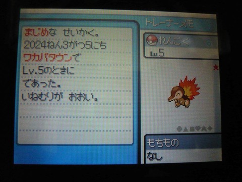 ポケモンHGSSの連れ歩き、ドットなのに色違いもちゃんと反映されてる…