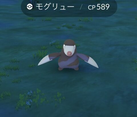 【ポケモンGO】モグリュー居なくてチャレンジ詰みそう勢