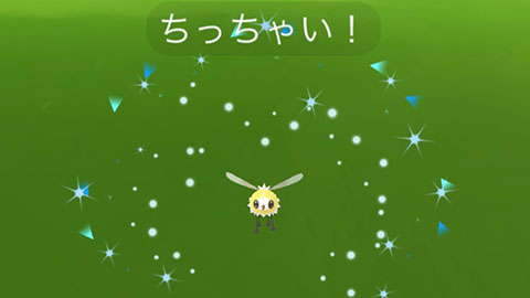 XXLやXXS出やすくなってる？サイズサプライズ ポケモンGO