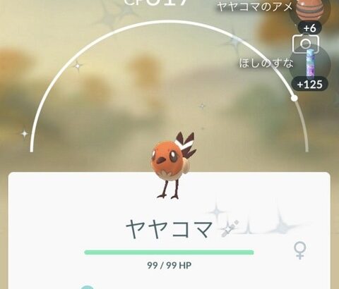 【ポケモンGO】ガチ初心者なんだけど個体値ってどういうのがいいの