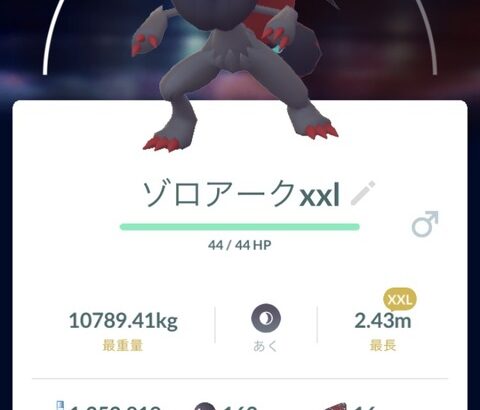 【ポケモンGO】なんか稀に「サイズや重さ」バグったポケモン居るよな…10トンのゾロアーク