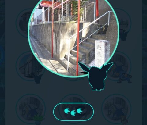 【ポケモンGO】謎のポケモン？ニアバイで影になってるイーブイ