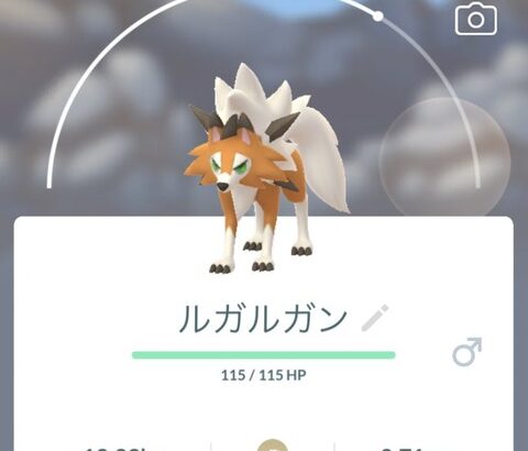 【ポケモンGO】レイドでの「黄昏イワンコ」の見分け方【2024年5月現在】