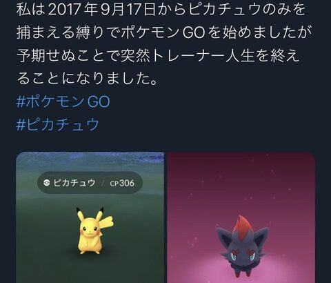 【ポケモンGO】「ピカチュウしか捕まえない縛り」「金ジムコレクター」謎の遊び方をしてる人達