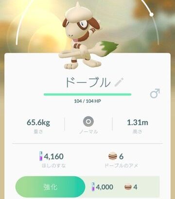 ポケモンGO初心者が最初にすべき事