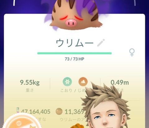 【ポケモンGO】リトレーンでFFFになるポケモン…シャドウのままで運用したいが見栄えはFFFの方が良い