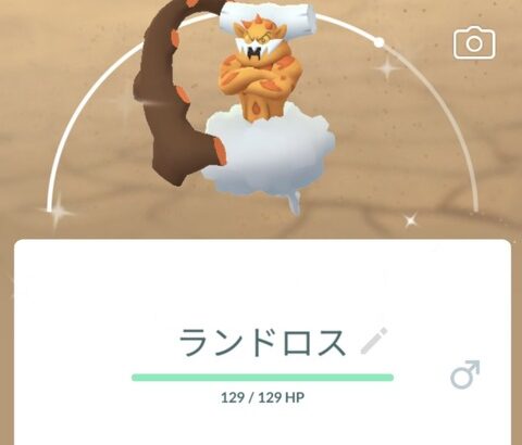 【ポケモンGO】「化身ランド」レイドアワー反省会「霊獣じゃないのが辛い」「XL飴集めるのにやるしかないのだ」「何故特別技をケチるのか」