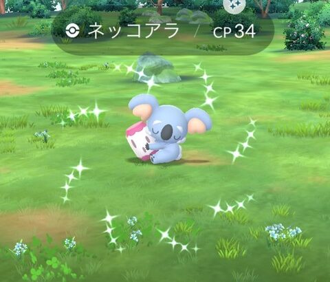 【ポケモンGO】色違いの「ネッコアラ」は今回初実装、今の内に狙いたい