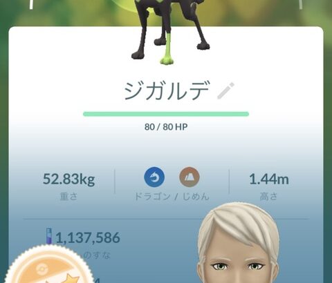 【ポケモンGO】今までなにやってたんだおじさん「俺は1年でジガルデセルを500個集めた」