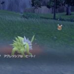 【ポケモンSV】色違い証付きイーブイメスを狙ってる勢