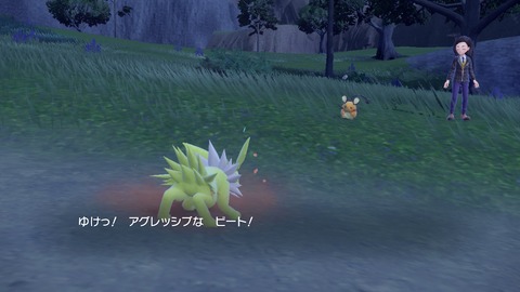 【ポケモンSV】色違い証付きイーブイメスを狙ってる勢