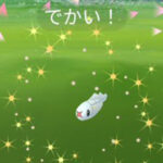 お披露目どうだった？シビシラスのコミュニティデイ ポケモンGO