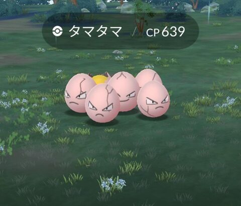 ポケモンでタマタマってつけた奴、絶対酔った勢いで名前付けたろ