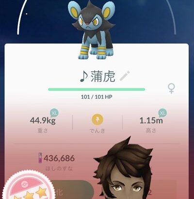 【ポケモンGO】ポケGO始めたけど何から始めたらいいの？GBLとかレイドはまだダメ？