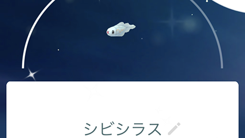 色違い100％ゲットたぜ！シビシラスのコミュニティデイ ポケモンGO