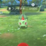 【ポケモンGO】何で「パーティ帽子フシギダネ」のまだ進化不可能なの！？ヒトカゲもゼニガメも出来るようになったのに