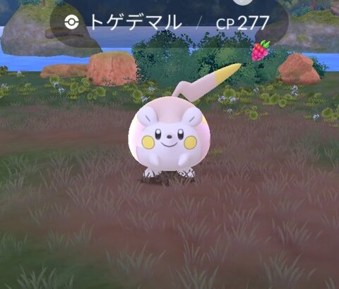 【ポケモンGO】スポアワ、トゲデマルアワー反省会！「捕獲率低め」「」