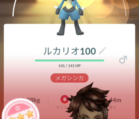 【ポケモンGO】メガルカリオレイドデイの主目標はルカリオじゃなくてふしぎなアメXL！