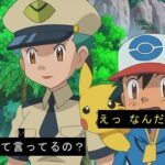 なんかアニポケは「サトシ降板したから視聴率が落ちた」って言ってる奴いるけどサトシの頃から既にヤバかったよね？