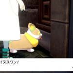 【ポケモンSV】禁伝環境に飽きてきた…？前作は後半ずっと禁伝解禁ルールだったが…