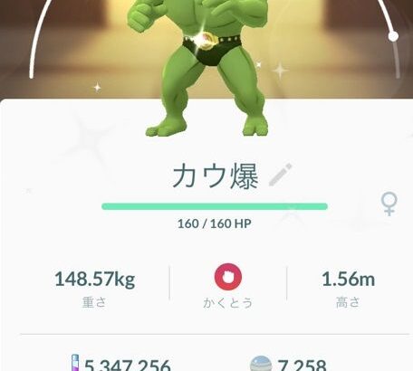 【ポケモンGO】「金ズリ3000個持ってるからいくら攻撃しても無駄ｗ」ジムキチおじさんリアル突撃事件