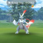 【ポケモンGO】合体キュレムの実装は「今年の年末」か「来年のイッシュツアー」か